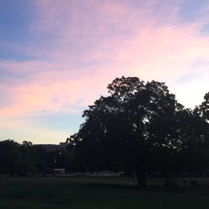 Meet your Posher, Joily